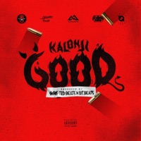 GOOD - Single - Skripted Beats & Kalonji