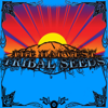 The Harvest - Tribal Seeds