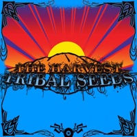 Tribal Seeds