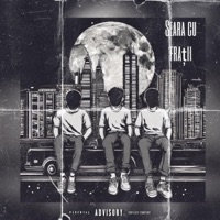 Seara cu Fratii (feat. B Miñor) - Single - Vieru