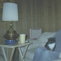 shoe box - Single - porch kiss & Qozy