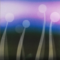 All Einheit - Single - Skydrips