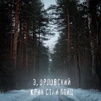 Крик стаи птиц - Single - Э. Орловский