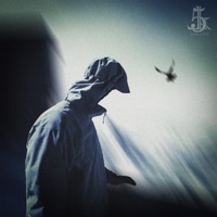 Ei mitään hätää - Single - Lollari5000