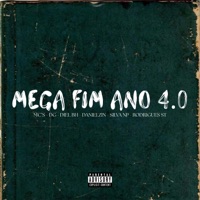 Mega Fim De Ano 4.0 (feat. MC DG, Mc Diel Bh, Mc Danielzin, MC SILVA NP & MC RODRIGUES ST) - Single - Dm Hits Produções