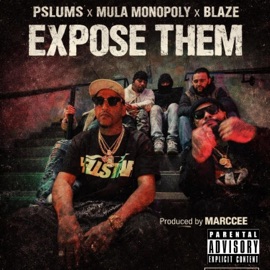 Expose Them (feat. Mula Monopoly, Blaze FSF & Marc Cee) Pslums