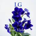 Blue Violets