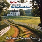 Red Dirt, White House, Blue Ridge Mountain Home - Single