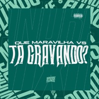 Que Maravilha vs Ta Gravando ? - Single - DJ TERLESQUI & DJ MOTTA