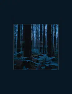 收听 ϯtimelapse、观看音乐视频、阅读小传、查看巡演日期等 ！