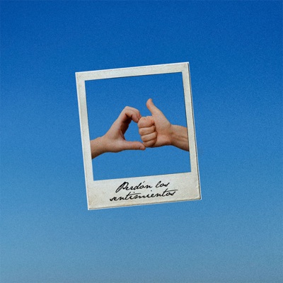 Perdón los Sentimientos - Single