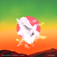 Paloma (Fida Remix) - Single - Seba Campos & Kermesse