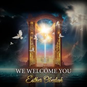 We Welcome You (Radio Edit) artwork