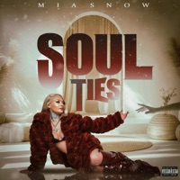 Soul Ties - Mia Snow