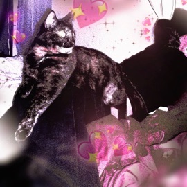 хорни зая Tony_hxc98_