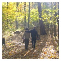 Fall - Single - Maty