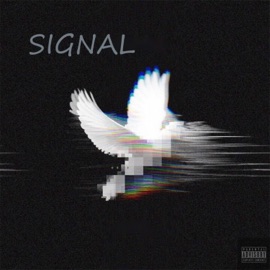 Signal Lord Mck