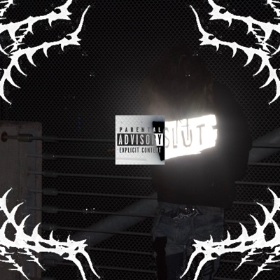 Sex, Drugs, Rock and Roll - Single