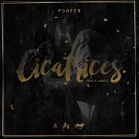 Cicatrices - Single - Poofer