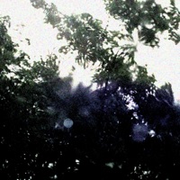 ANDROIDS - Single - Bribe