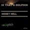 Is That a Dolphin - Honey Hell lyrics