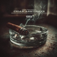 Cigar Ashtrays - Single - YoungCamThaStar