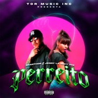 Perreito - Single - Branthon & Jenny La Sexy Voz