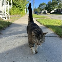 L'estivalété - Single - LBonhomme