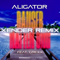 Danser Natten Ung (feat. Grexx) [Xender Remix] - Single - DJ Aligator