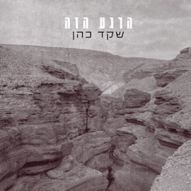 הרגע הזה Shaked Cohen
