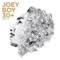 ร้ายก็รัก - Joey Boy lyrics