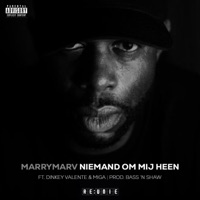 Niemand Om Mij Heen (feat. Dinkey ValenTe, MiGa, Bass 'n Shaw & Son Lukas) - Single - RE:UNIE & MarryMarv
