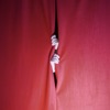 Voz da Planície