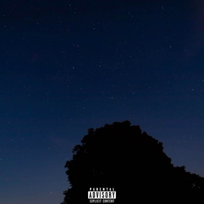 Song - Went Legit - g herb