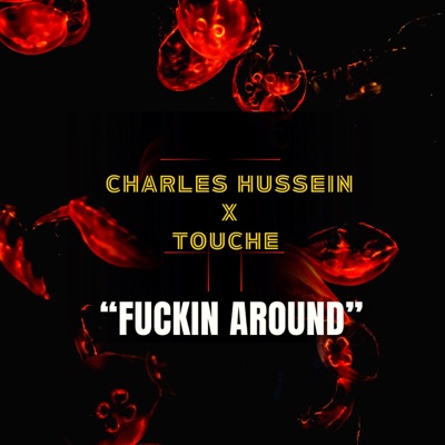 Fuckin Around (feat. Charels Hussein & Touche) - Single