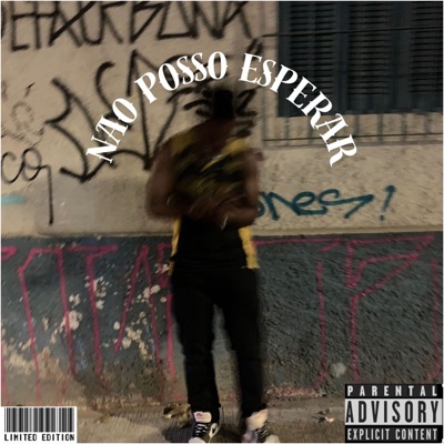 Não Posso Esperar - Single