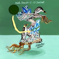 Danza - Single - Ed Neidhardt & Martín Benavides