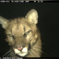 1 Take Freestyle - Single - NBS_ta3