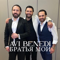 Братья мои - Single - Avi Benedi