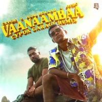 Vaanaambaa (feat. Asal Kolaar & ofRO) [Cypox Garage Remix] - Single - Cypox