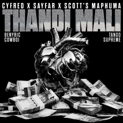 Thandi Mali (feat. BenyRic, Cowboii & Tango Supreme) - Single
