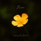 Bloom (feat. Danny McCarthy) [Acoustic] - Napping On Asphalt lyrics