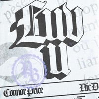 Luv u - Single - Connor Price & Nic D