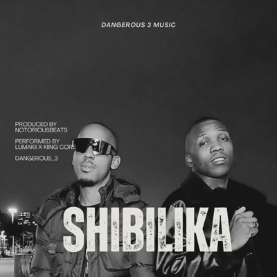SHIBILIKA (feat. NotoriousBeats RSA, Lumakii & Kiing Core) - Single