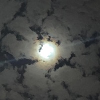 Something Strange - Single - prodbysnyder