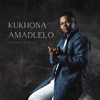 Ayanda Ntanzi - Kukhona Amadlelo artwork