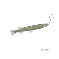 Stony - EP - Willebrant