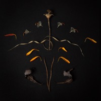 Reikdom - Single - Vera Vinter
