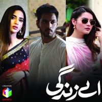 Aey Zindagi (feat. Aima Baig) - Single - Nabeel Shaukat Ali