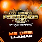 Me Debi Llamar - Single